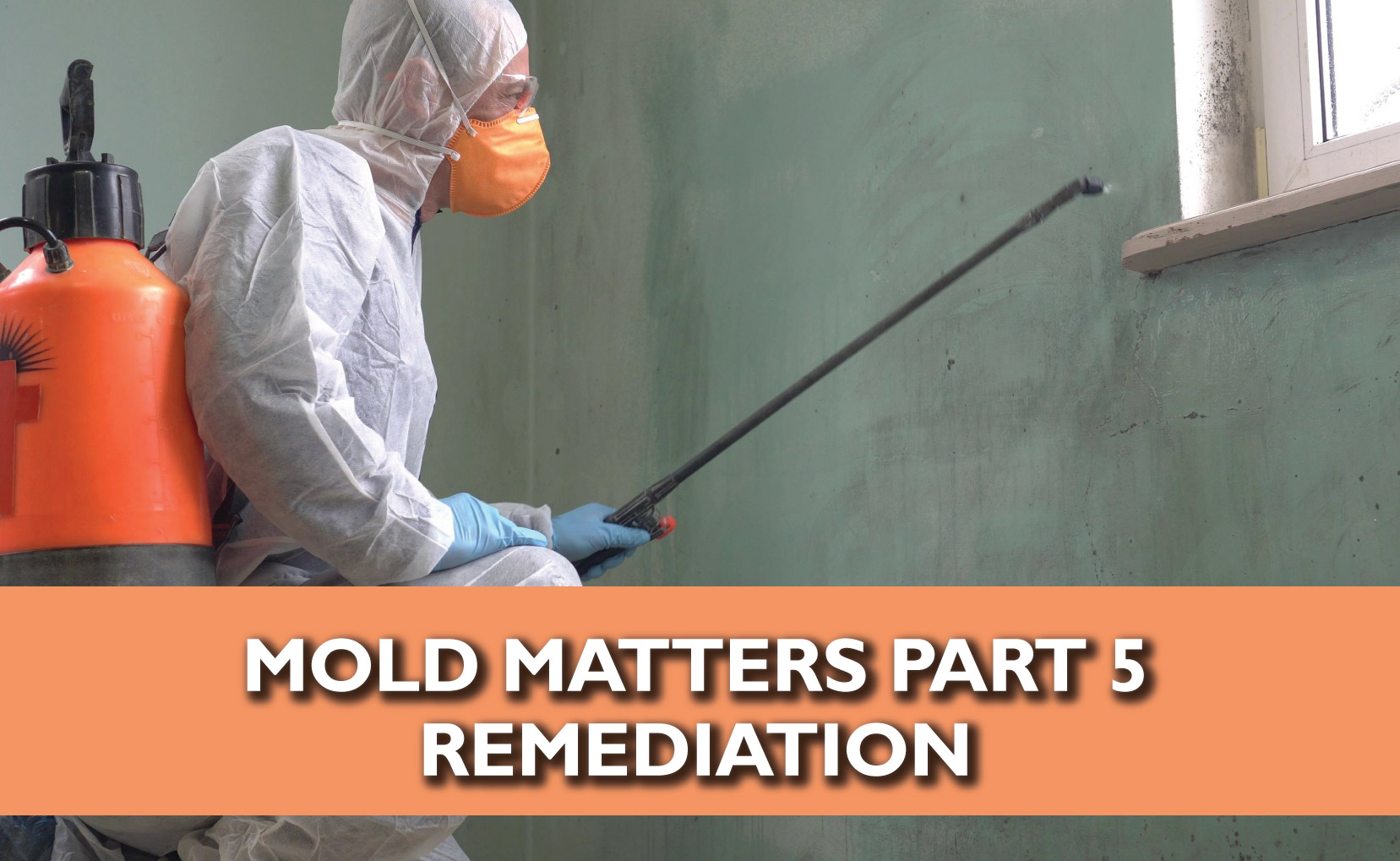 Mold Matters ERMI Test And Remediation Way2HealthMD