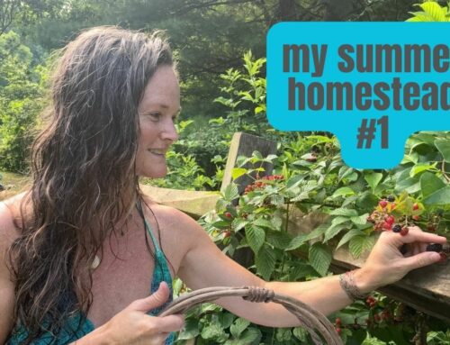 Protected: My summer homestead #1