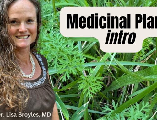 Protected: Medicinal Plants #1 Intro