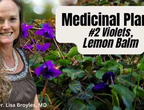 Protected: Medicinal Plants #2 Lemon Balm, Violets