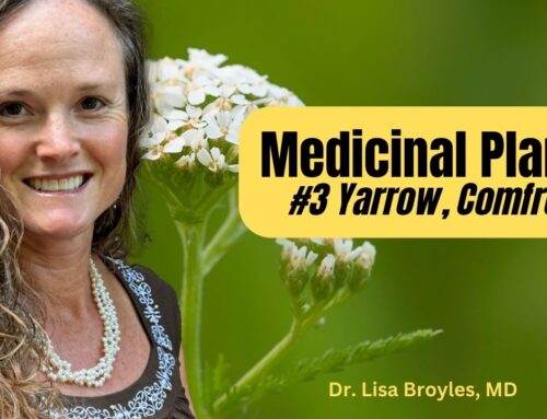 Protected: Medicinal Plants #3 Yarrow, Comfrey