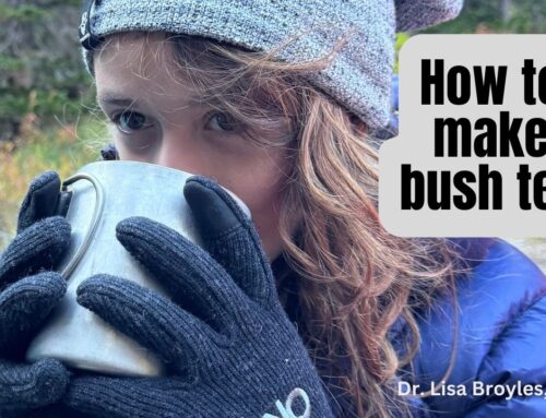 Protected: How to make bush tea